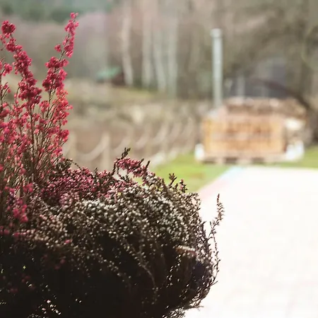 Gæstehus Penzion Sejby