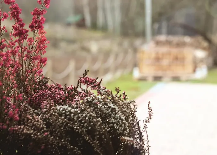 Πανσιόν Penzion Sejby